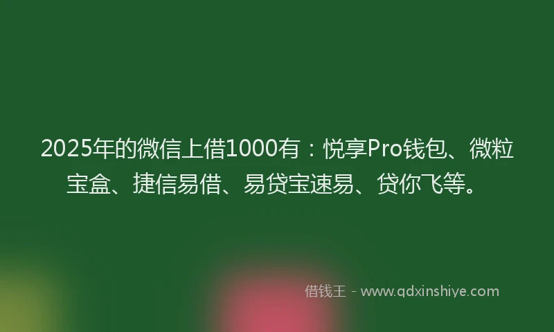 2025年的微信上借1000有：悦享Pro钱包、微粒宝盒、捷信易借、易贷宝速易、贷你飞等。
