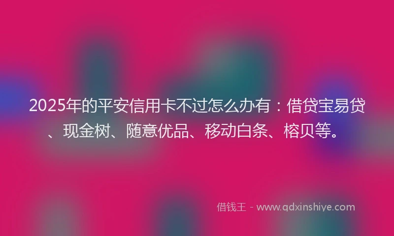 2025年的平安信用卡不过怎么办有：借贷宝易贷、现金树、随意优品、移动白条、榕贝等。