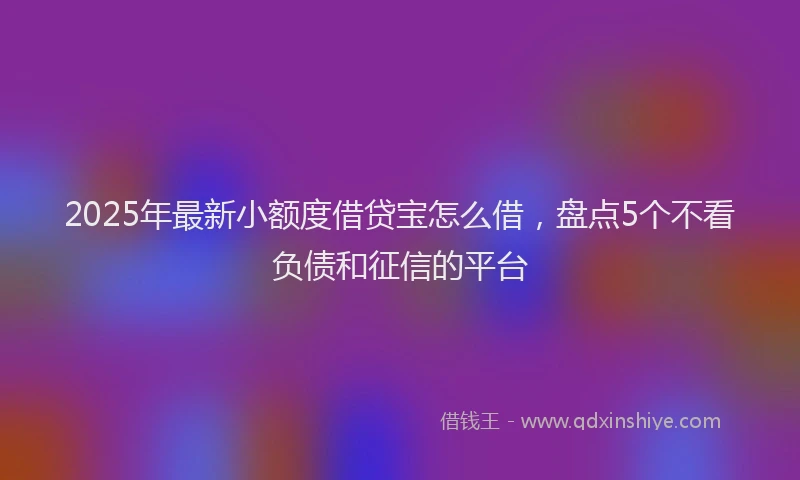 2025年最新小额度借贷宝怎么借，盘点5个不看负债和征信的平台