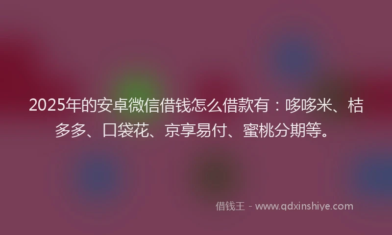 2025年的安卓微信借钱怎么借款有：哆哆米、桔多多、口袋花、京享易付、蜜桃分期等。
