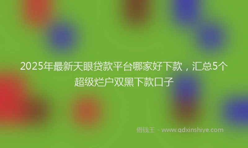 2025年最新天眼贷款平台哪家好下款，汇总5个超级烂户双黑下款口子
