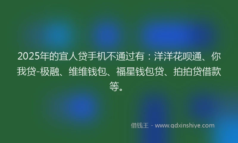 2025年的宜人贷手机不通过有：洋洋花呗通、你我贷-极融、维维钱包、福星钱包贷、拍拍贷借款等。