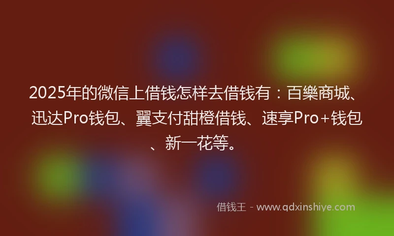 2025年的微信上借钱怎样去借钱有：百樂商城、迅达Pro钱包、翼支付甜橙借钱、速享Pro+钱包、新一花等。