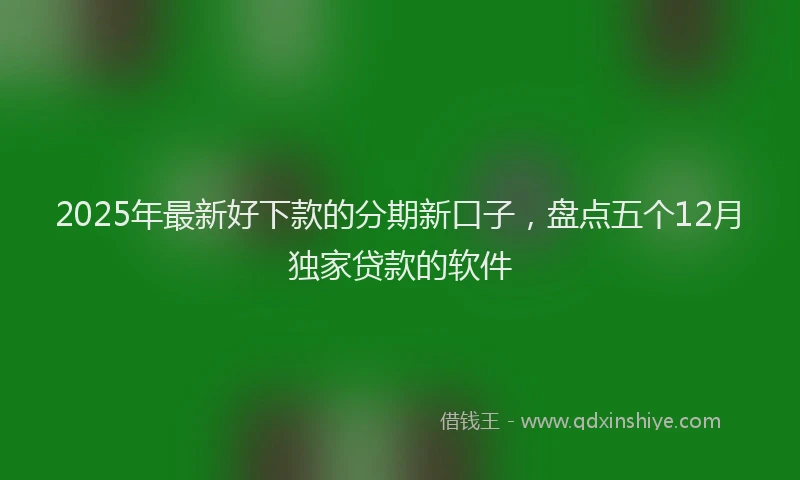 2025年最新好下款的分期新口子，盘点五个12月独家贷款的软件