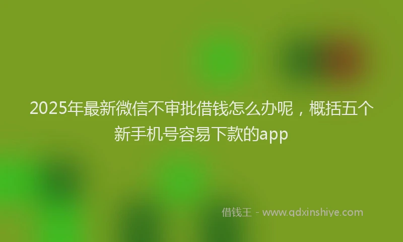 2025年最新微信不审批借钱怎么办呢，概括五个新手机号容易下款的app