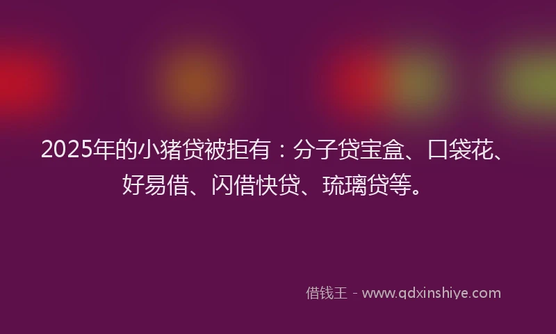 2025年的小猪贷被拒有：分子贷宝盒、口袋花、好易借、闪借快贷、琉璃贷等。