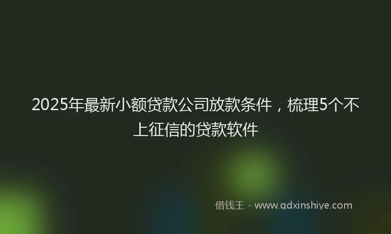 2025年最新小额贷款公司放款条件，梳理5个不上征信的贷款软件