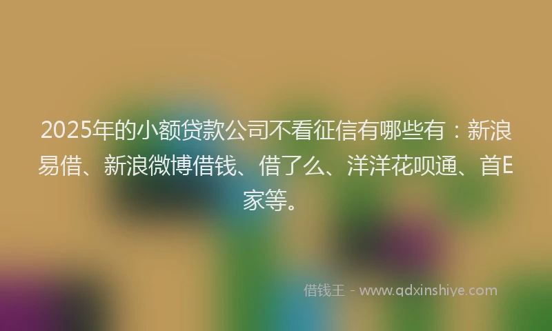 2025年的小额贷款公司不看征信有哪些有：新浪易借、新浪微博借钱、借了么、洋洋花呗通、首E家等。