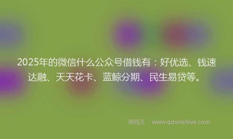 2025年的微信什么公众号借钱有：好优选、钱速达融、天天花卡、蓝鲸分期、民生易贷等。