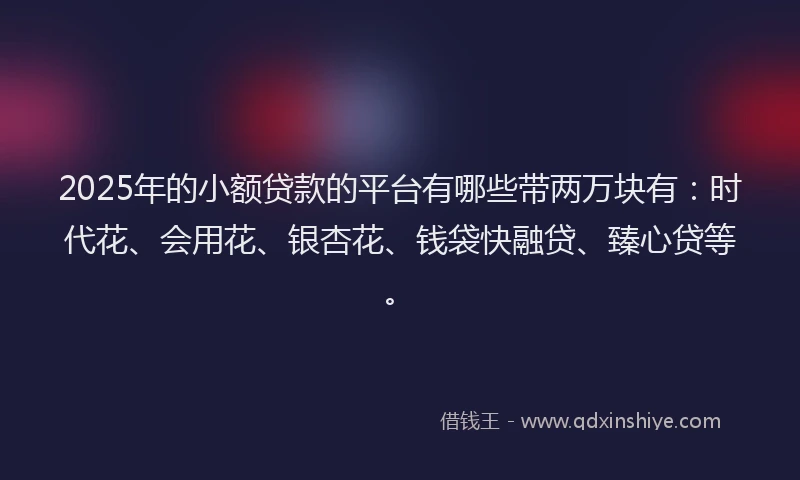 2025年的小额贷款的平台有哪些带两万块有：时代花、会用花、银杏花、钱袋快融贷、臻心贷等。