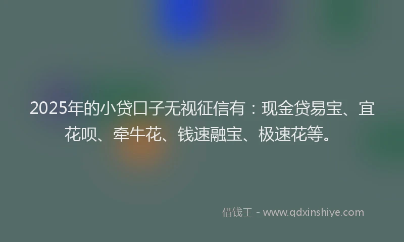 2025年的小贷口子无视征信有：现金贷易宝、宜花呗、牵牛花、钱速融宝、极速花等。