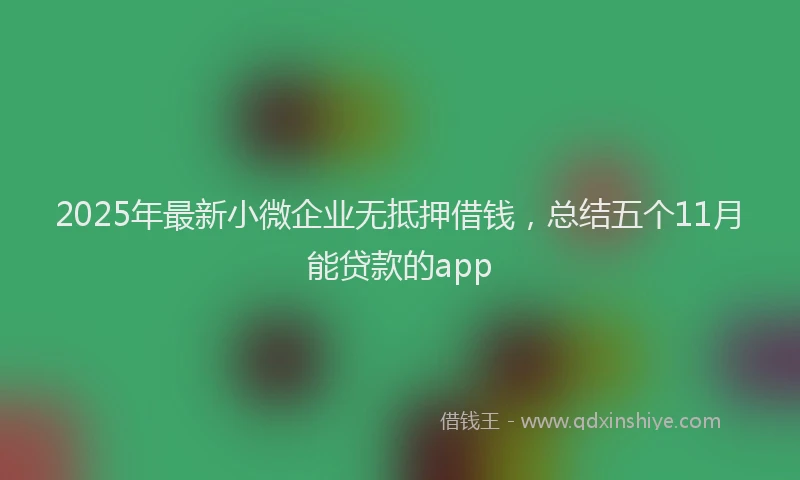 2025年最新小微企业无抵押借钱，总结五个11月能贷款的app