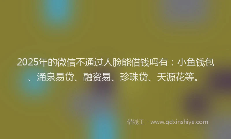 2025年的微信不通过人脸能借钱吗有：小鱼钱包、涌泉易贷、融资易、珍珠贷、天源花等。