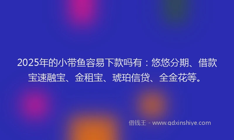 2025年的小带鱼容易下款吗有：悠悠分期、借款宝速融宝、金租宝、琥珀信贷、全金花等。
