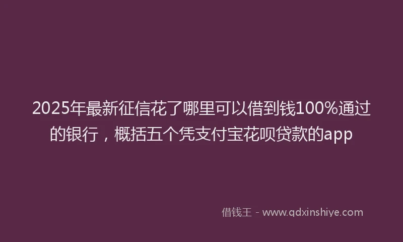 2025年最新征信花了哪里可以借到钱100%通过的银行，概括五个凭支付宝花呗贷款的app