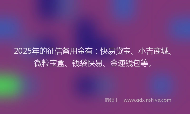 2025年的征信备用金有：快易贷宝、小吉商城、微粒宝盒、钱袋快易、金速钱包等。