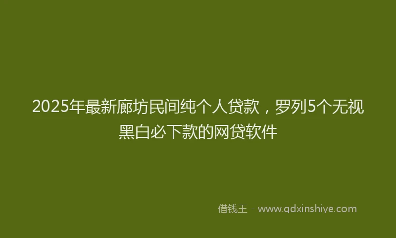 2025年最新廊坊民间纯个人贷款，罗列5个无视黑白必下款的网贷软件