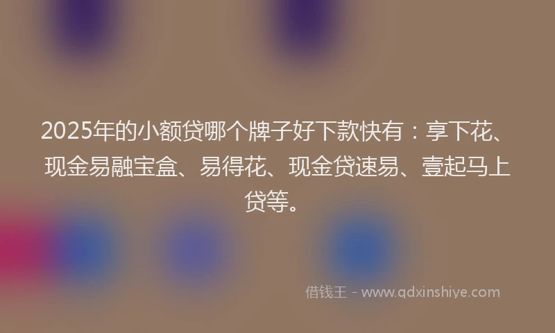 2025年的小额贷哪个牌子好下款快有：享下花、现金易融宝盒、易得花、现金贷速易、壹起马上贷等。