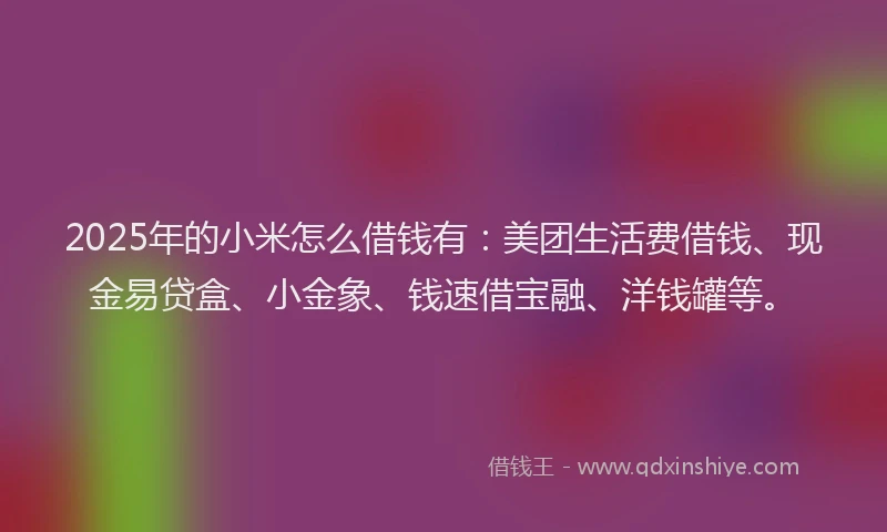 2025年的小米怎么借钱有：美团生活费借钱、现金易贷盒、小金象、钱速借宝融、洋钱罐等。