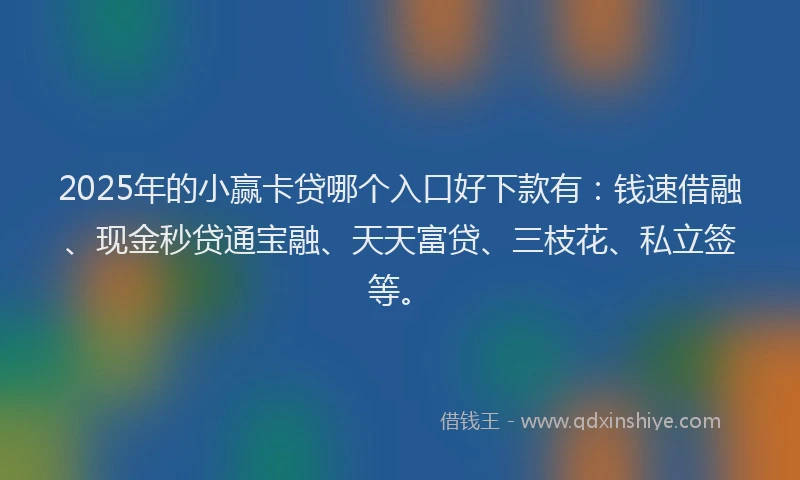 2025年的小赢卡贷哪个入口好下款有：钱速借融、现金秒贷通宝融、天天富贷、三枝花、私立签等。
