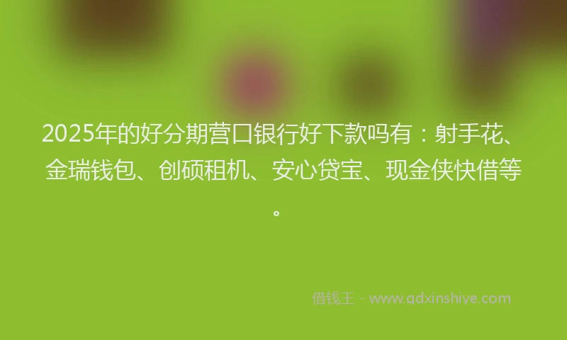 2025年的好分期营口银行好下款吗有：射手花、金瑞钱包、创硕租机、安心贷宝、现金侠快借等。