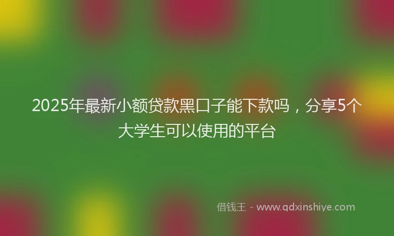 2025年最新小额贷款黑口子能下款吗，分享5个大学生可以使用的平台
