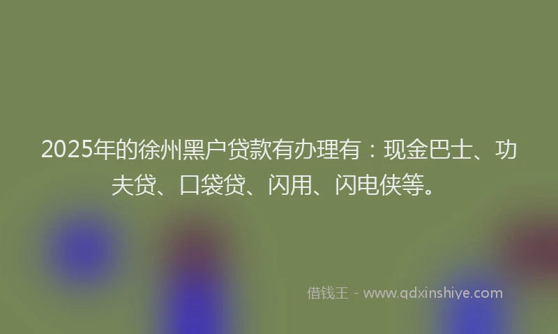 2025年的徐州黑户贷款有办理有：现金巴士、功夫贷、口袋贷、闪用、闪电侠等。