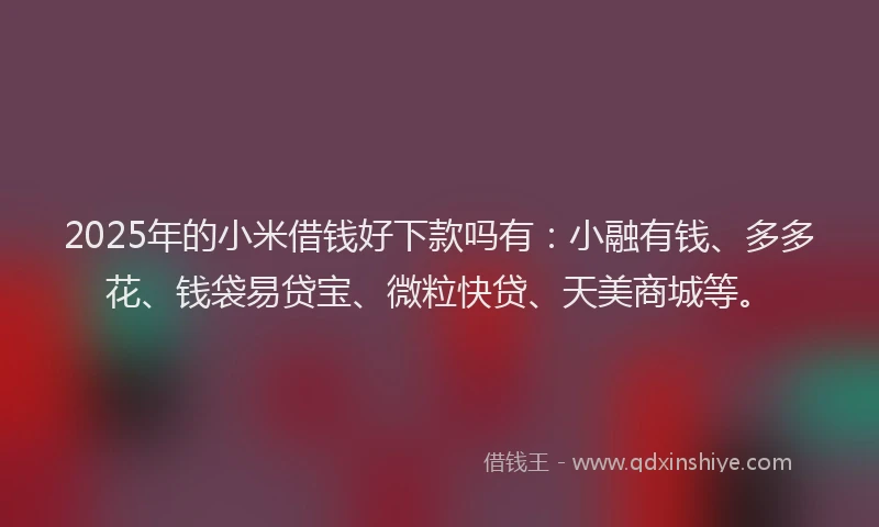 2025年的小米借钱好下款吗有：小融有钱、多多花、钱袋易贷宝、微粒快贷、天美商城等。