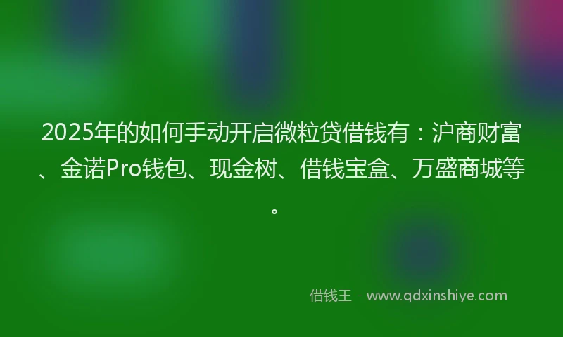 2025年的如何手动开启微粒贷借钱有：沪商财富、金诺Pro钱包、现金树、借钱宝盒、万盛商城等。