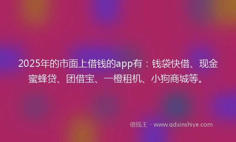 2025年的市面上借钱的app有：钱袋快借、现金蜜蜂贷、团借宝、一橙租机、小狗商城等。