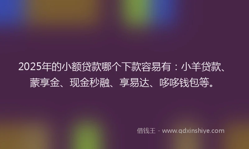 2025年的小额贷款哪个下款容易有：小羊贷款、蒙享金、现金秒融、享易达、哆哆钱包等。