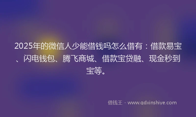 2025年的微信人少能借钱吗怎么借有：借款易宝、闪电钱包、腾飞商城、借款宝贷融、现金秒到宝等。