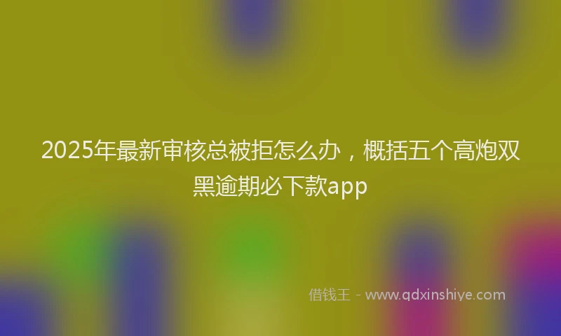 2025年最新审核总被拒怎么办，概括五个高炮双黑逾期必下款app