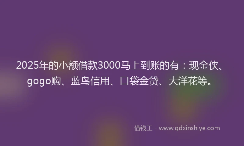 2025年的小额借款3000马上到账的有：现金侠、gogo购、蓝鸟信用、口袋金贷、大洋花等。