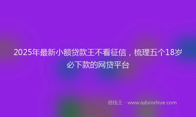 2025年最新小额贷款王不看征信，梳理五个18岁必下款的网贷平台
