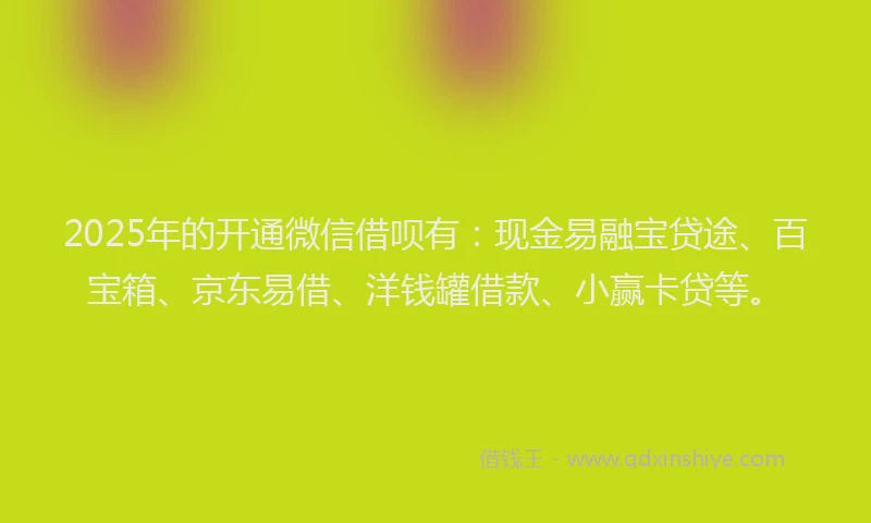 2025年的开通微信借呗有：现金易融宝贷途、百宝箱、京东易借、洋钱罐借款、小赢卡贷等。