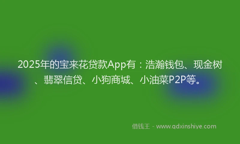 2025年的宝来花贷款App有：浩瀚钱包、现金树、翡翠信贷、小狗商城、小油菜P2P等。
