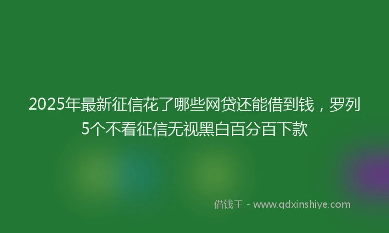 2025年最新征信花了哪些网贷还能借到钱，罗列5个不看征信无视黑白百分百下款