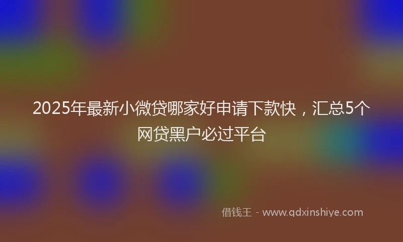 2025年最新小微贷哪家好申请下款快，汇总5个网贷黑户必过平台