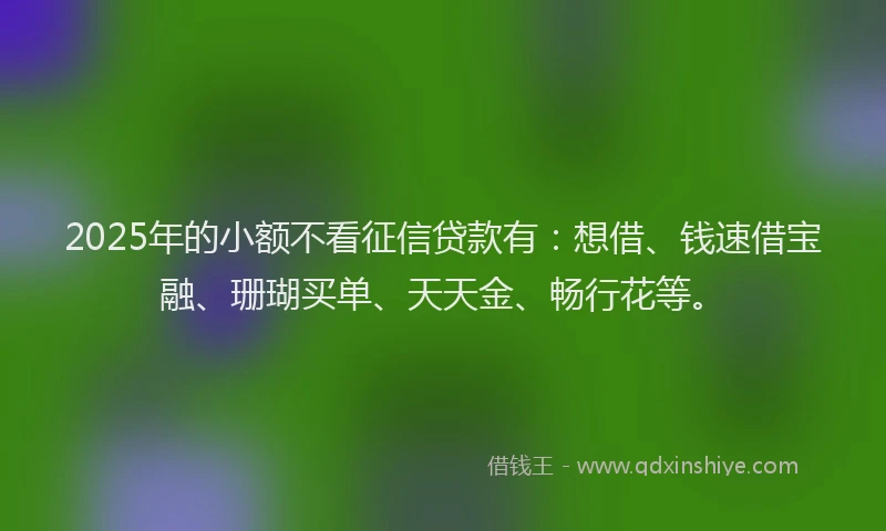 2025年的小额不看征信贷款有：想借、钱速借宝融、珊瑚买单、天天金、畅行花等。