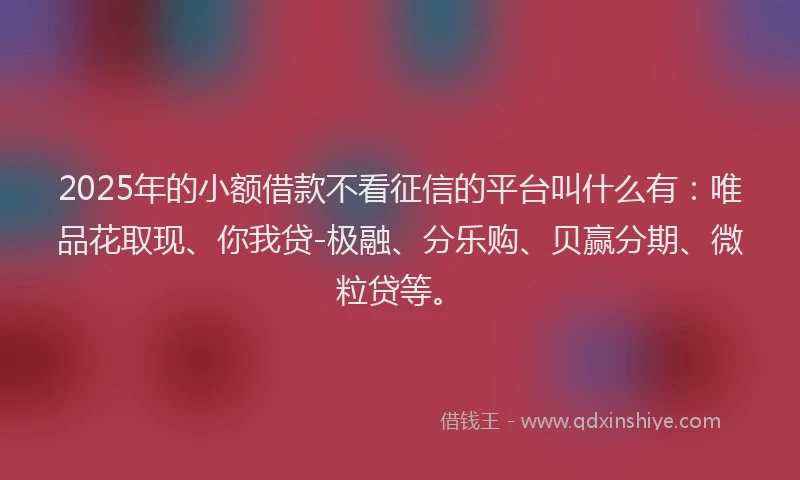 2025年的小额借款不看征信的平台叫什么有：唯品花取现、你我贷-极融、分乐购、贝赢分期、微粒贷等。