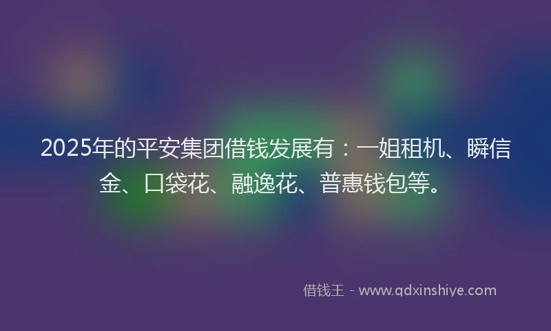 2025年的平安集团借钱发展有：一姐租机、瞬信金、口袋花、融逸花、普惠钱包等。