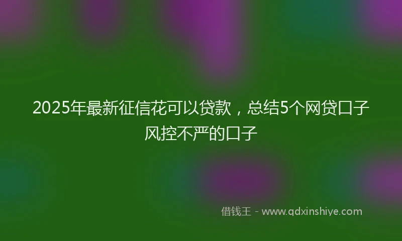 2025年最新征信花可以贷款，总结5个网贷口子风控不严的口子