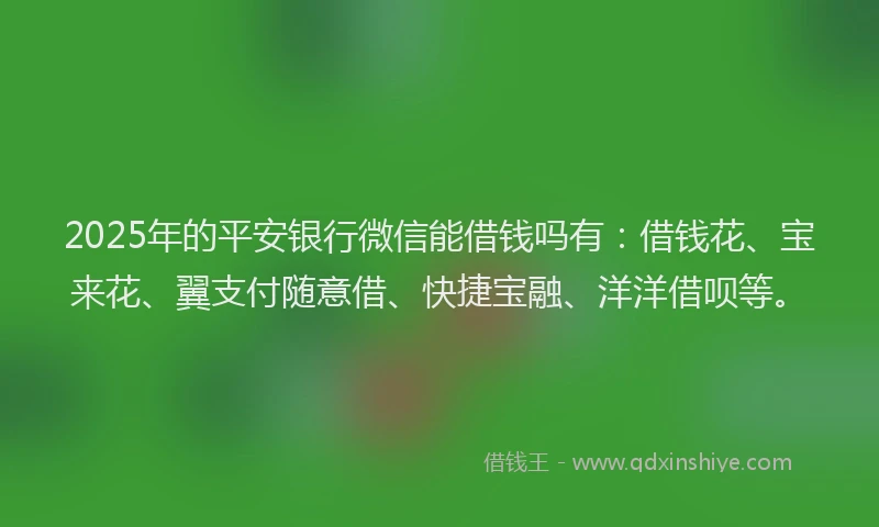 2025年的平安银行微信能借钱吗有：借钱花、宝来花、翼支付随意借、快捷宝融、洋洋借呗等。