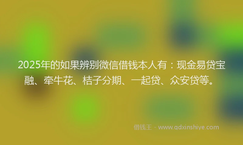 2025年的如果辨别微信借钱本人有：现金易贷宝融、牵牛花、桔子分期、一起贷、众安贷等。