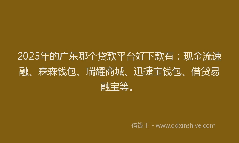 2025年的广东哪个贷款平台好下款有：现金流速融、森森钱包、瑞耀商城、迅捷宝钱包、借贷易融宝等。