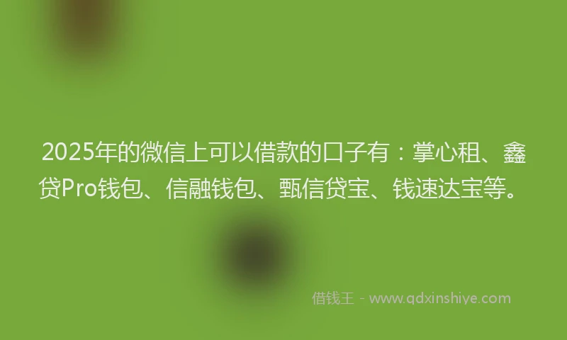 2025年的微信上可以借款的口子有：掌心租、鑫贷Pro钱包、信融钱包、甄信贷宝、钱速达宝等。