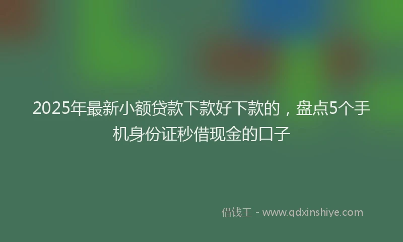 2025年最新小额贷款下款好下款的，盘点5个手机身份证秒借现金的口子