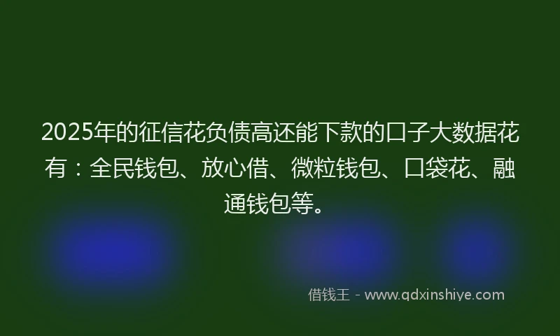 2025年的征信花负债高还能下款的口子大数据花有：全民钱包、放心借、微粒钱包、口袋花、融通钱包等。