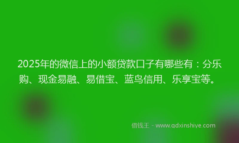 2025年的微信上的小额贷款口子有哪些有：分乐购、现金易融、易借宝、蓝鸟信用、乐享宝等。